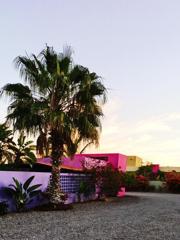 The Hotelito Todos Santos Extérieur photo